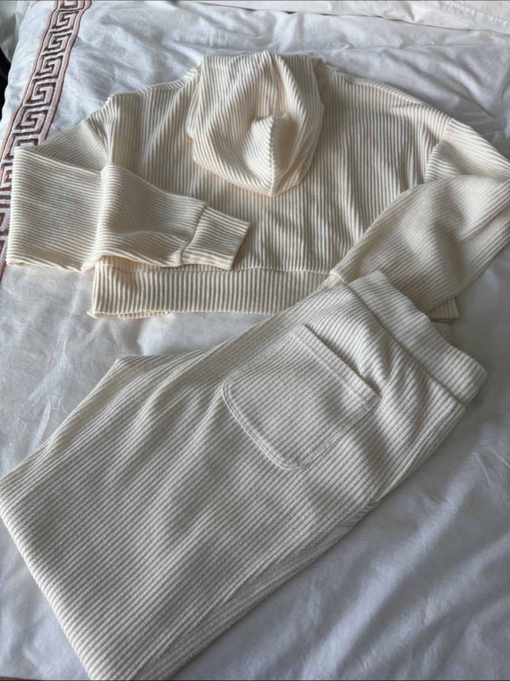 ALO Yoga joggers and hoodie